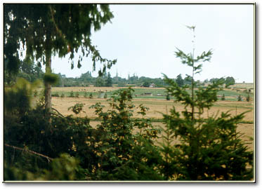Taylor Ranch in Sequim Washington as of 1988
