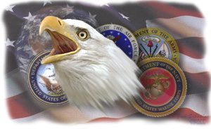 Eagle's Head with the seals from the four services in the background with the planet Earth and the american flag