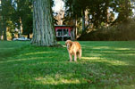 brandi_lastdays-atChowansCabin-sm.jpg (13027 bytes)