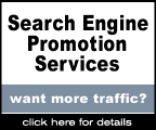 Search Engine Web Site Promotion Services